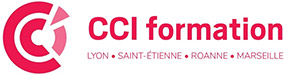 CCI FORMATION PRO ST ETIENNE