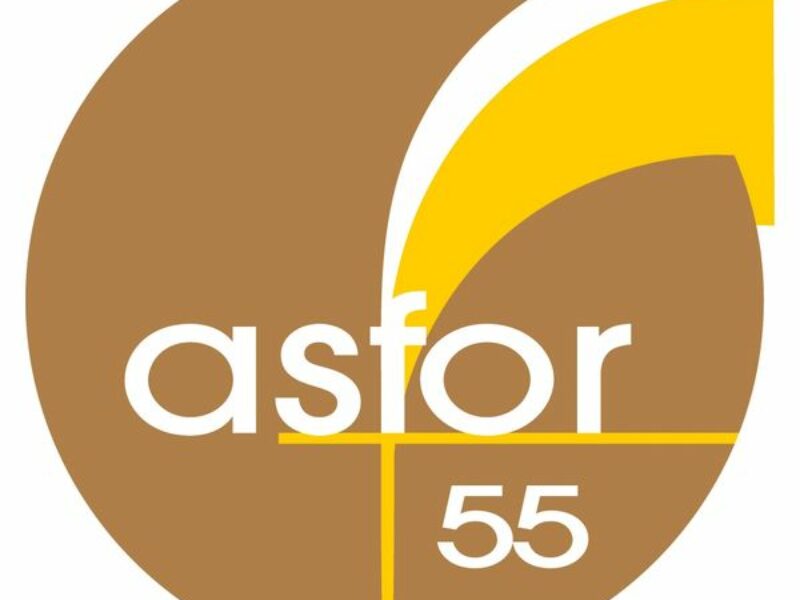 ASFOR 55