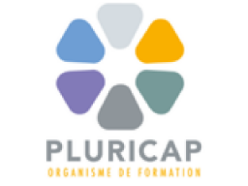PLURICAP – MOSCHE SCHULMANN