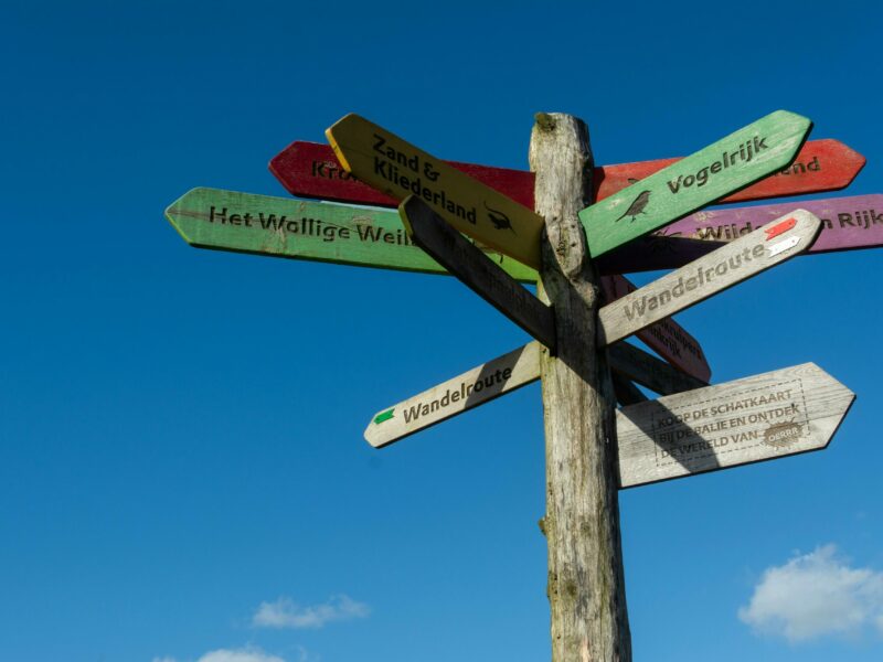 Langues et marché de l’emploi : pourquoi certaines langues « moins connues » gagnent en importance ?